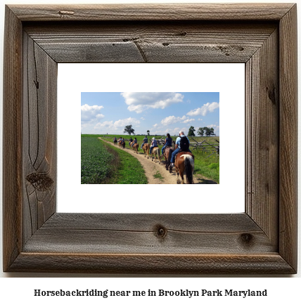 horseback riding near me in Brooklyn Park, Maryland